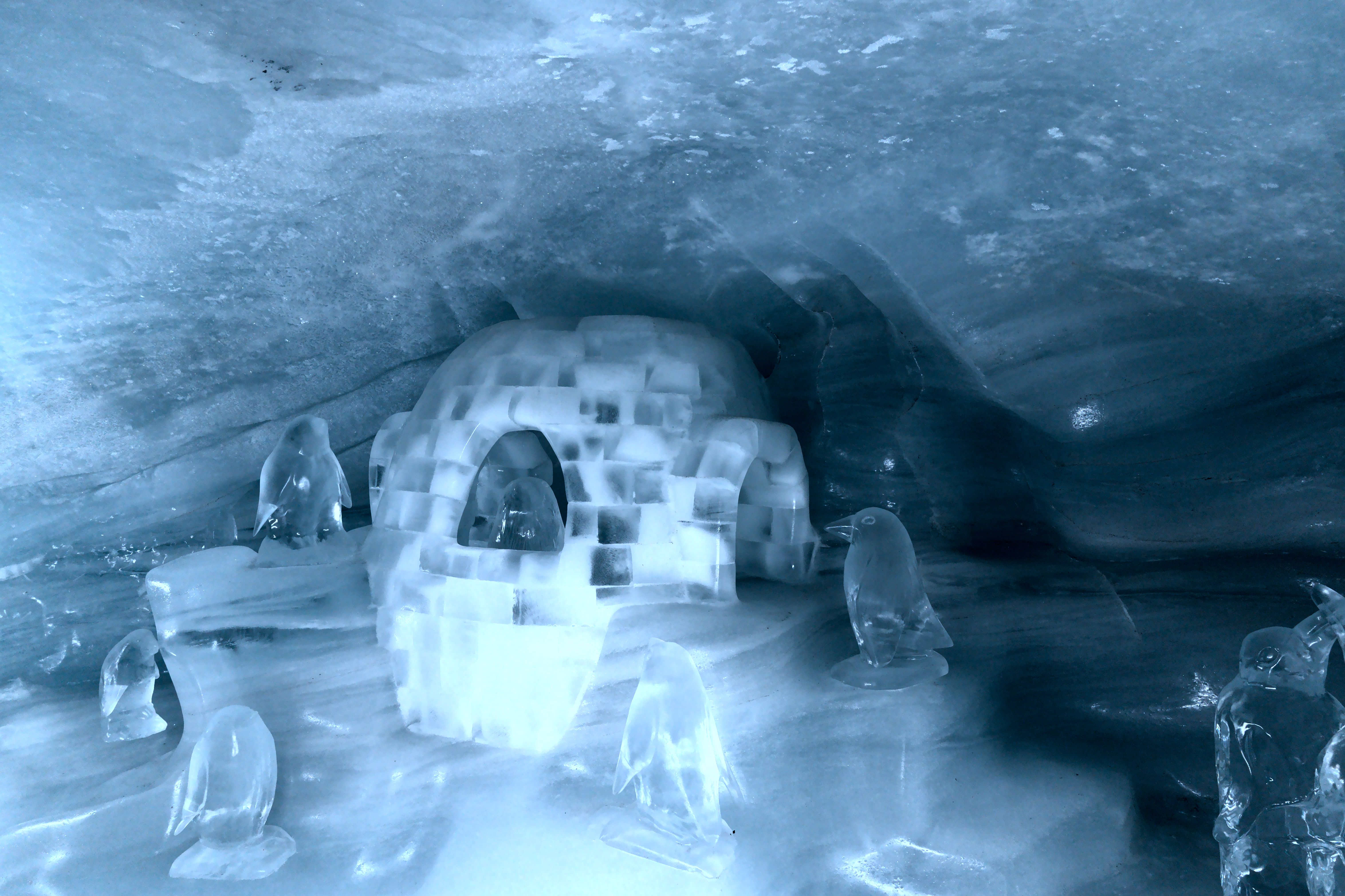 Private celebration inside the Igloo venue