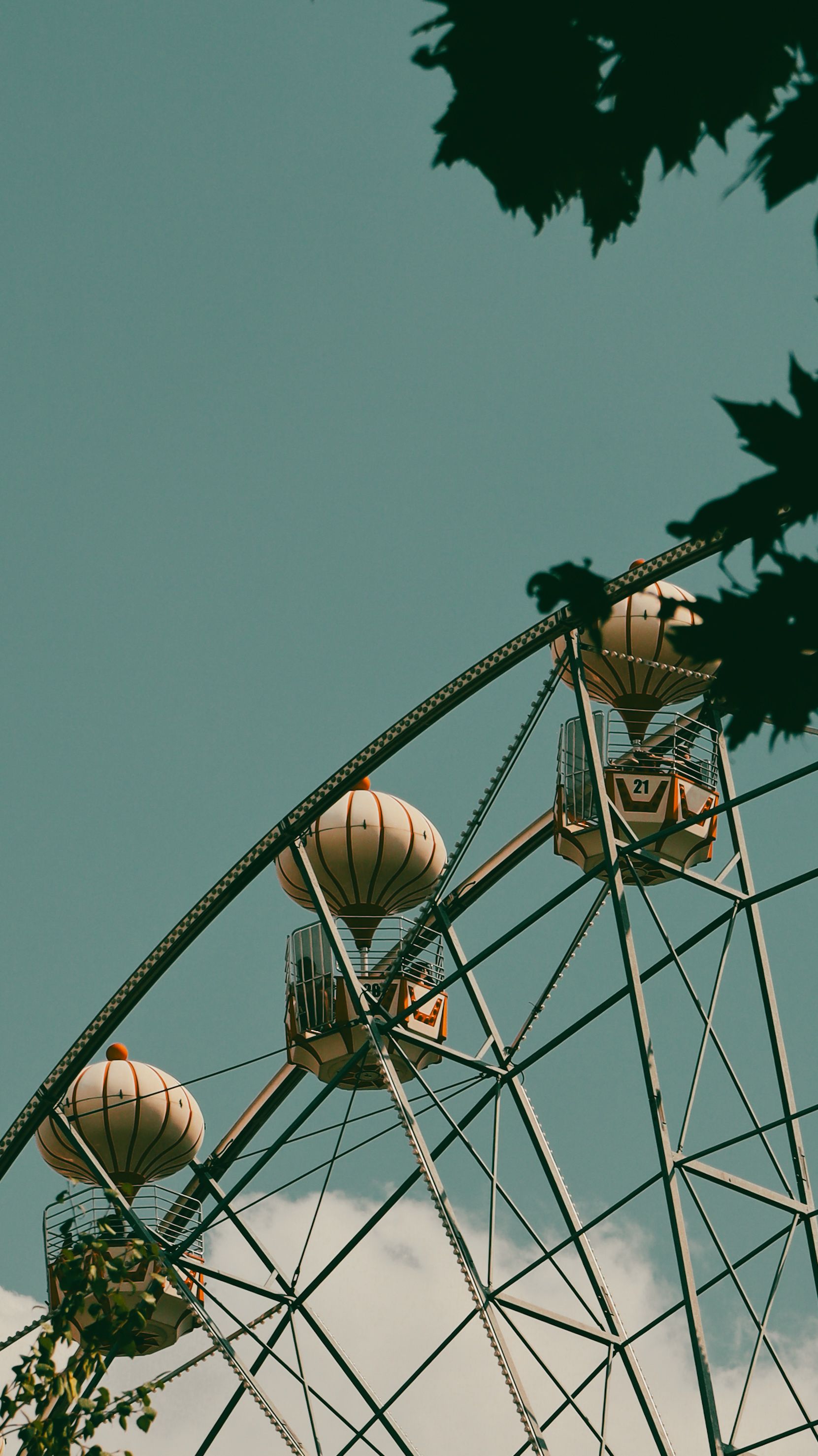 Kiddie rides at Torres Farm