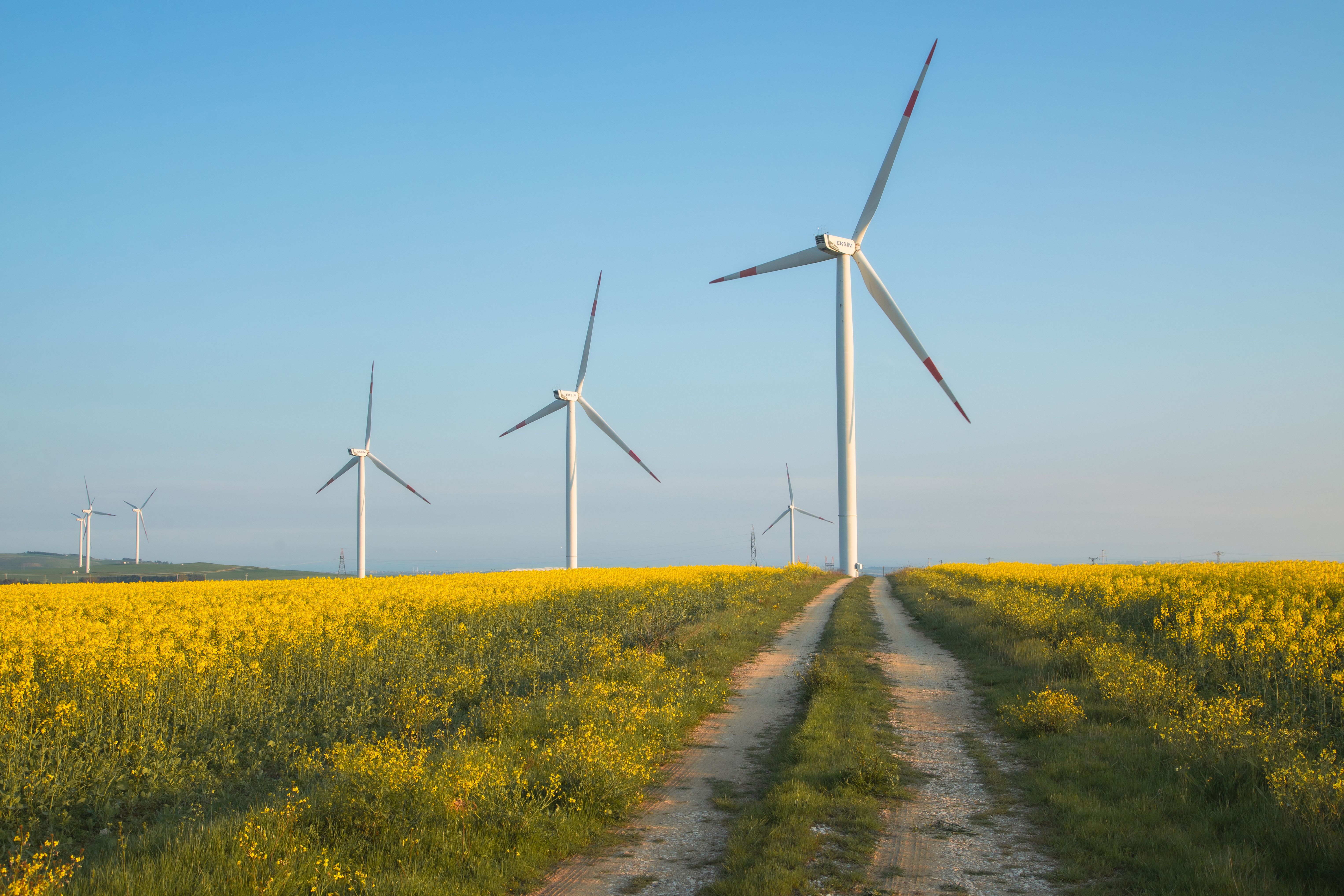 European windmill-inspired attraction